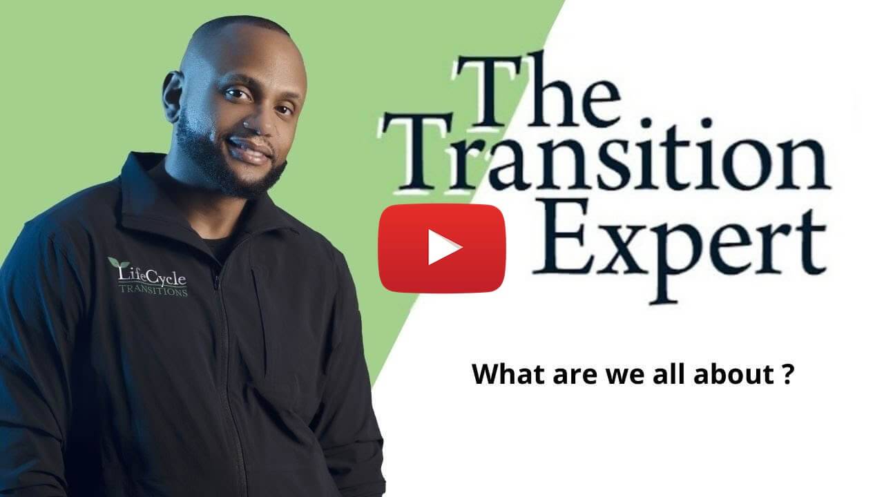 Transition Expert